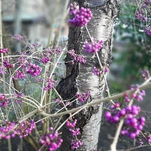 Meet your Posher, Bernadette